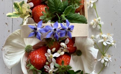 barquette de fraises françaises au printemps