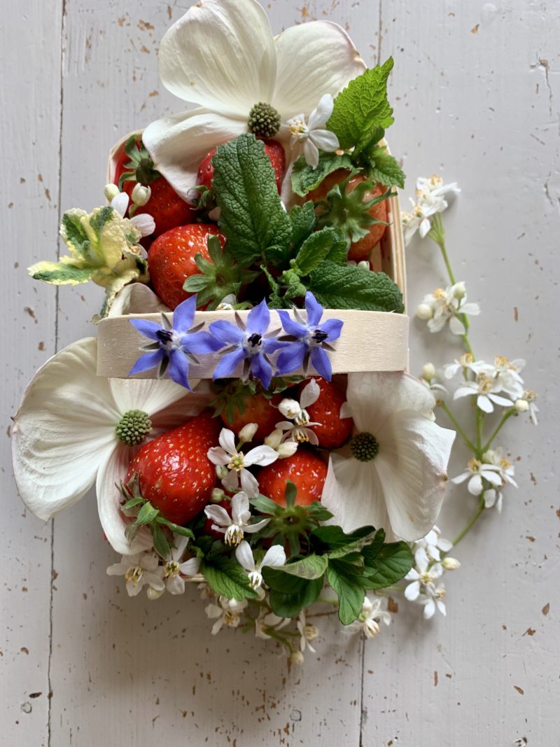 barquette de fraises françaises au printemps