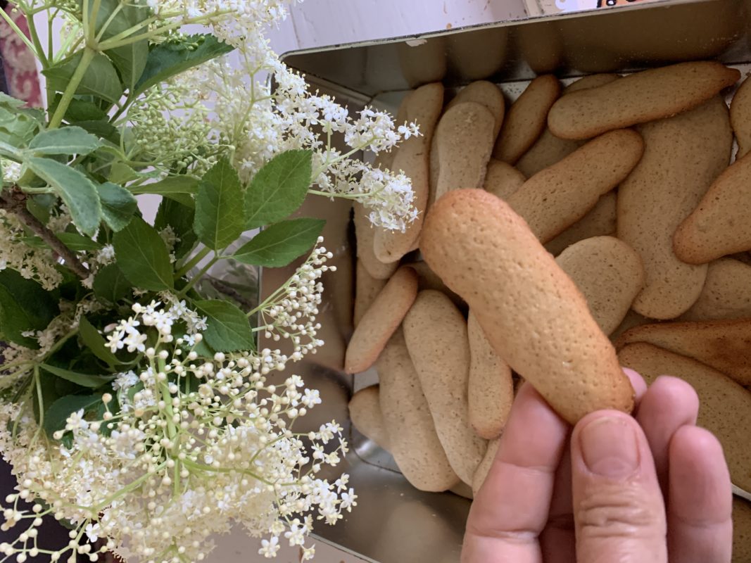 langue de chat les petits gâteaux qui se conservent