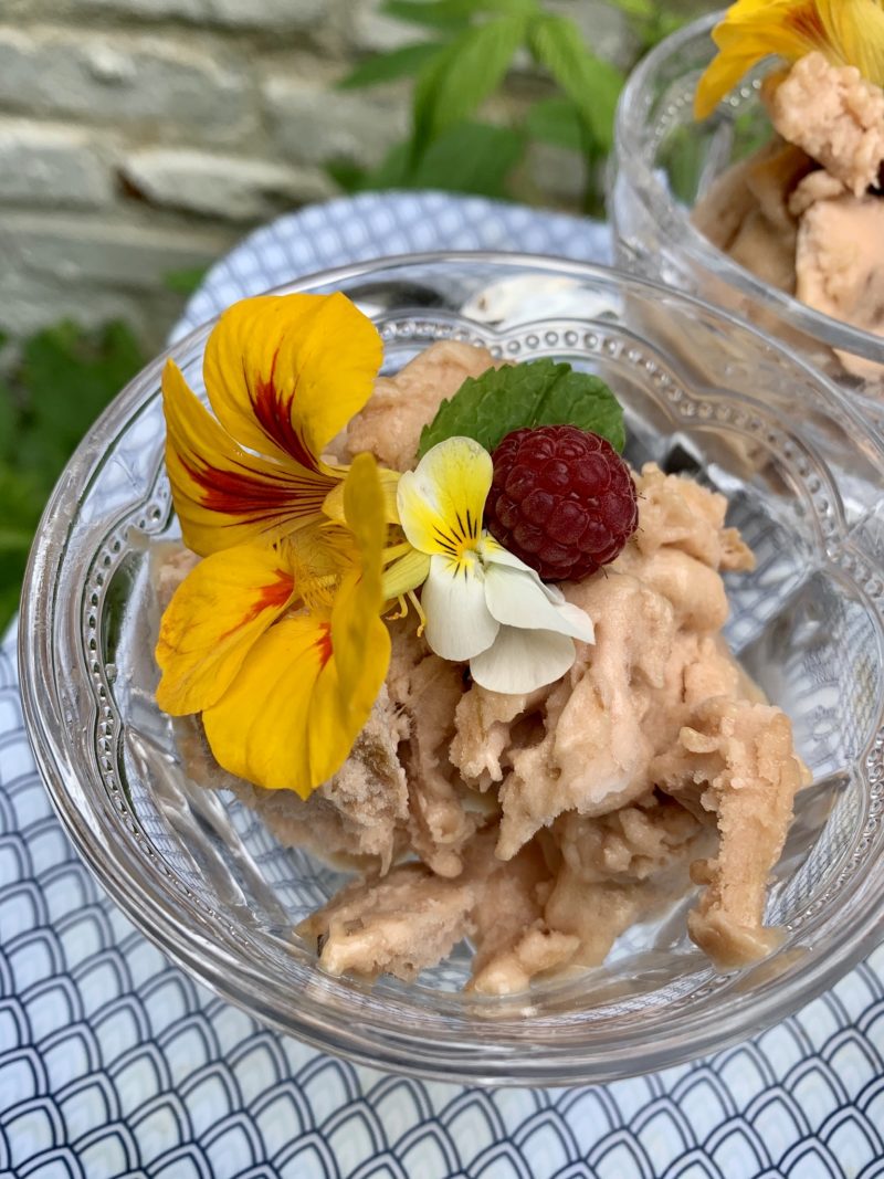 sorbet à la rhubarbe avec décor de fleurs comestibles et premières framboises du jardin