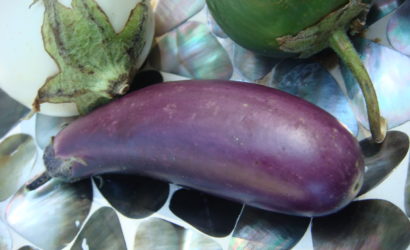 variétés d'aubergines