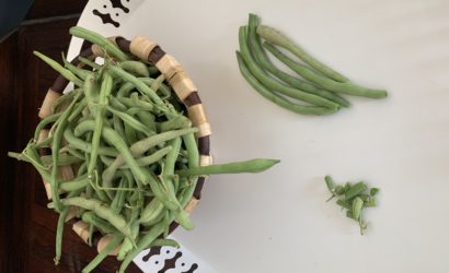 haricots verts