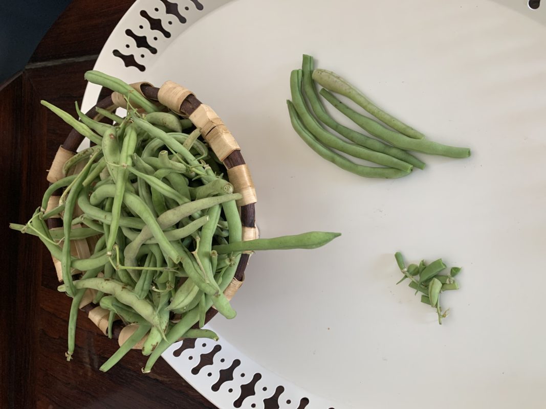 haricots verts