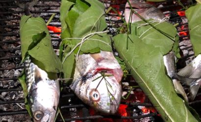 dorades et maquereaux cuits dans des feuilles de figuier