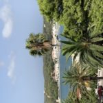 vue du mercat de peix, port de Mahon