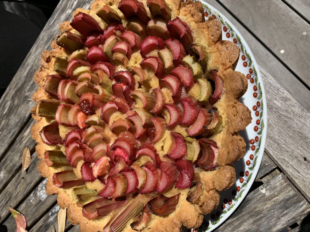 Tarte à la rhubarbe fond de tarte gâteau breton