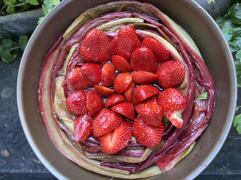 Montage tarte fraise rhubarbe