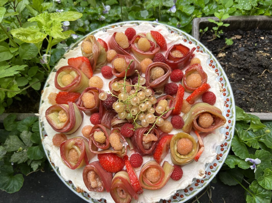 cheesecake à la rhubarbe