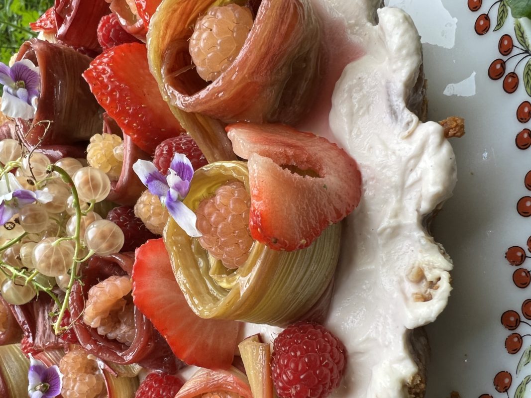 détail cheese cake rhubarbe groseilles, framboises et fraises