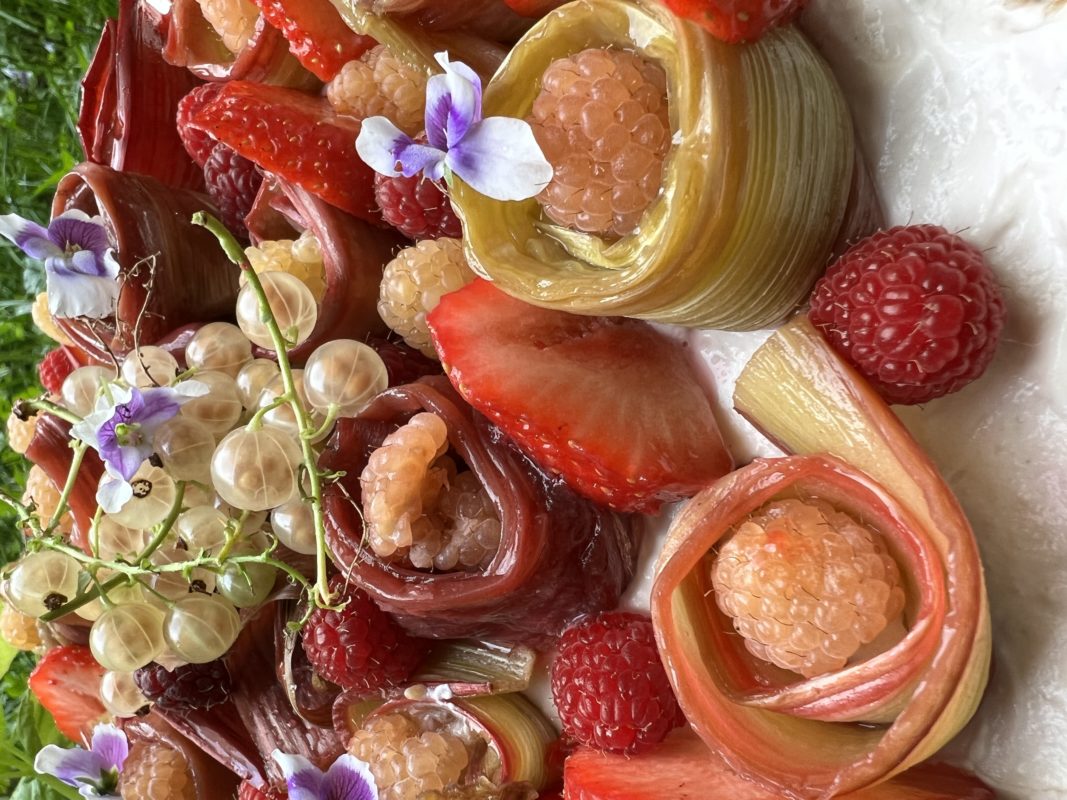 Décors du cheese cake avec framboises et groseilles